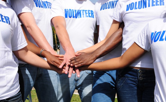 日本におけるボランティアの意識調査結果（twitter メインで2020年9月末に実施）